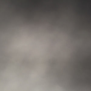 Meet your Posher, Annabelle